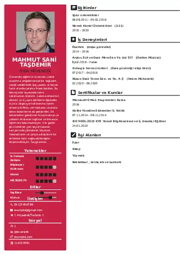 Gıda Mühendisi CV Örnekleri cv indir